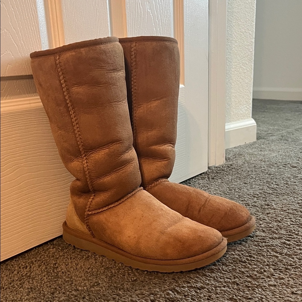 UGG Brown Winter Boots